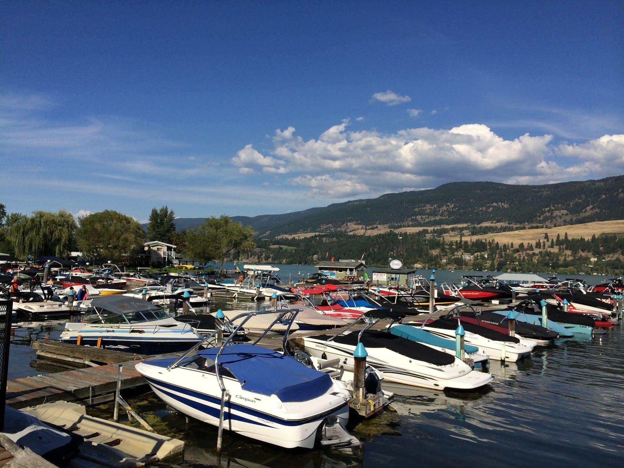 Turtle Bay Marina Resort Winfield Dış mekan fotoğraf